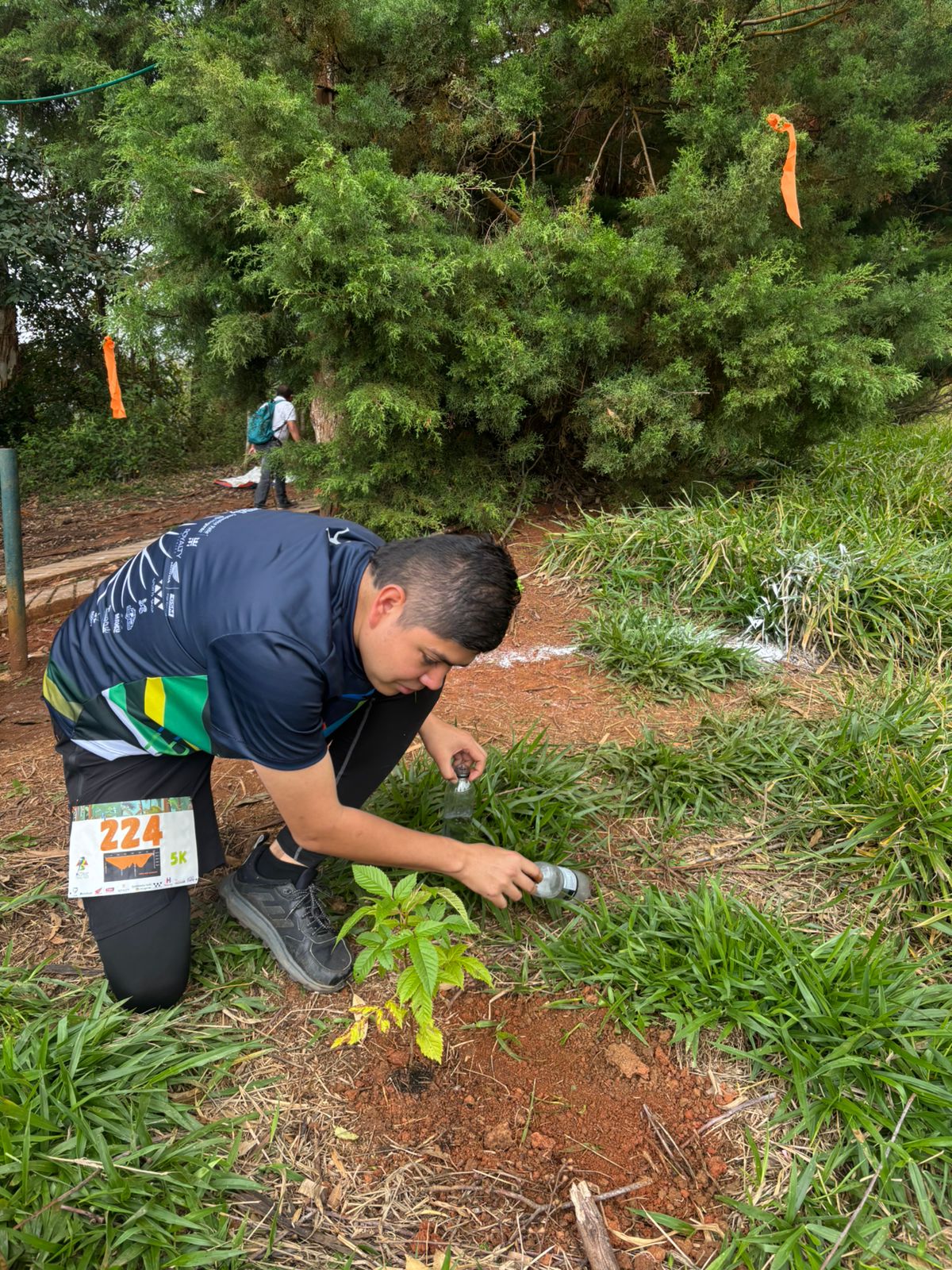 Reforestación Activa